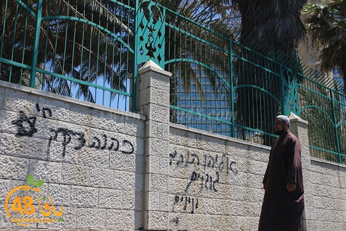 abo 3ajwa ja (4).JPG